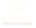 Trip Advisor