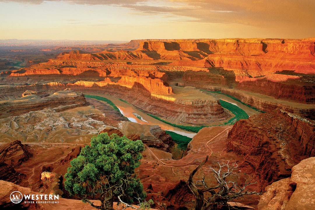 Dead Horse Point and the Colorado River