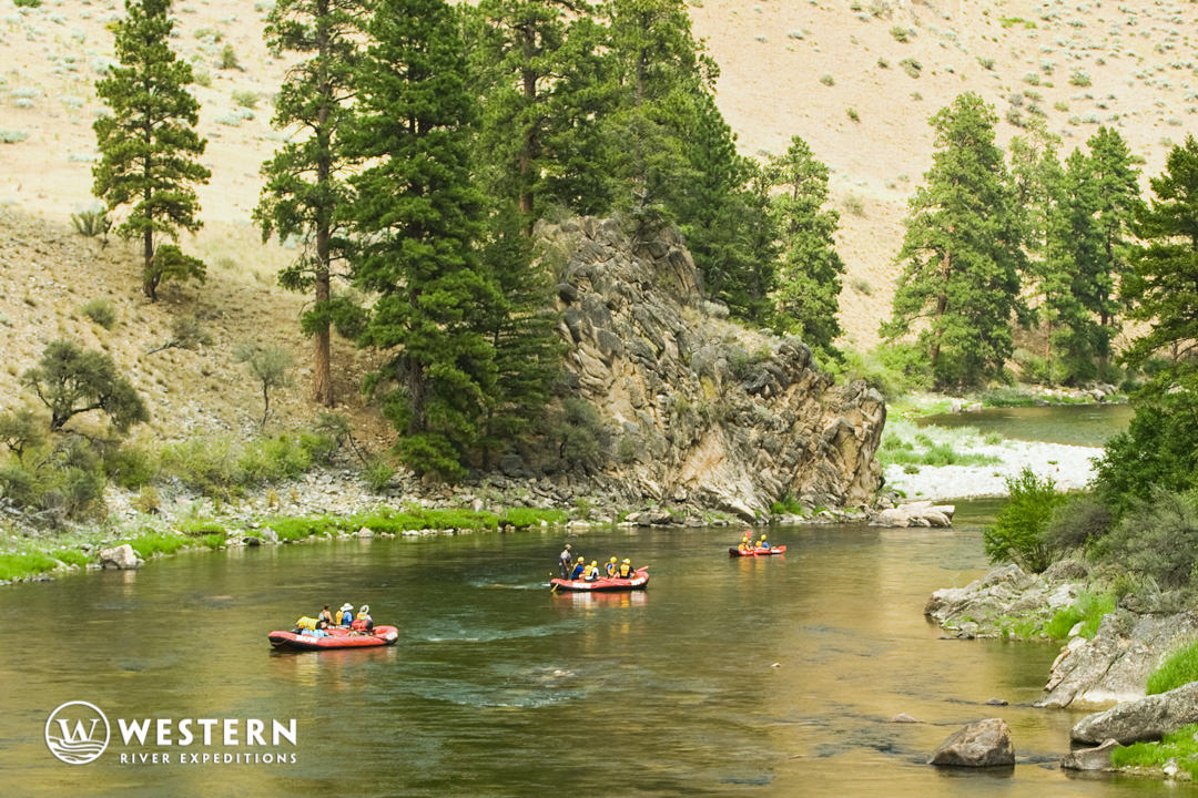 Flotilla of rafts on the Middle Fork