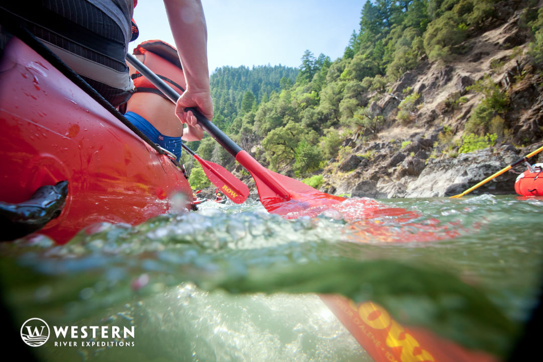Rogue River Rafting Submerged Paddle
